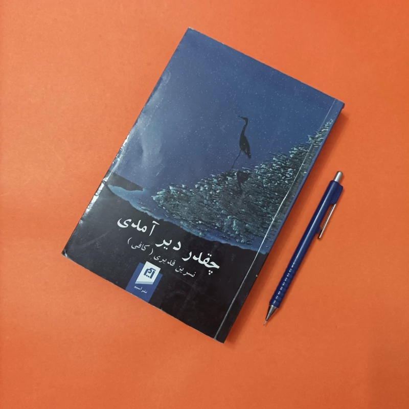 چقدر دیر آمدی نوشته نسرین قدیری نشر آسیم شومیز