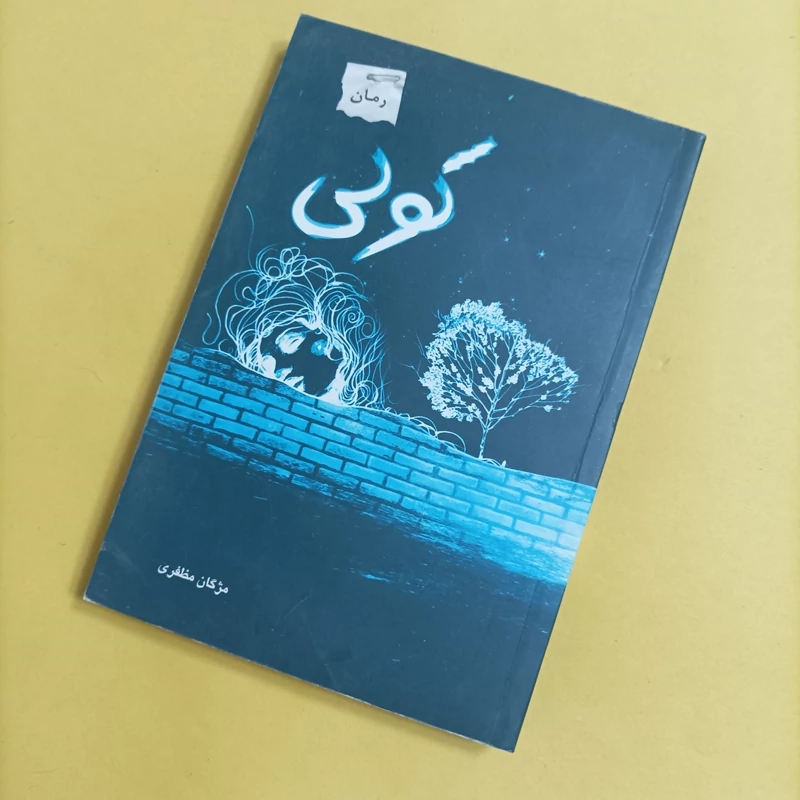 کتاب کولی نوشته مژگان مظفری