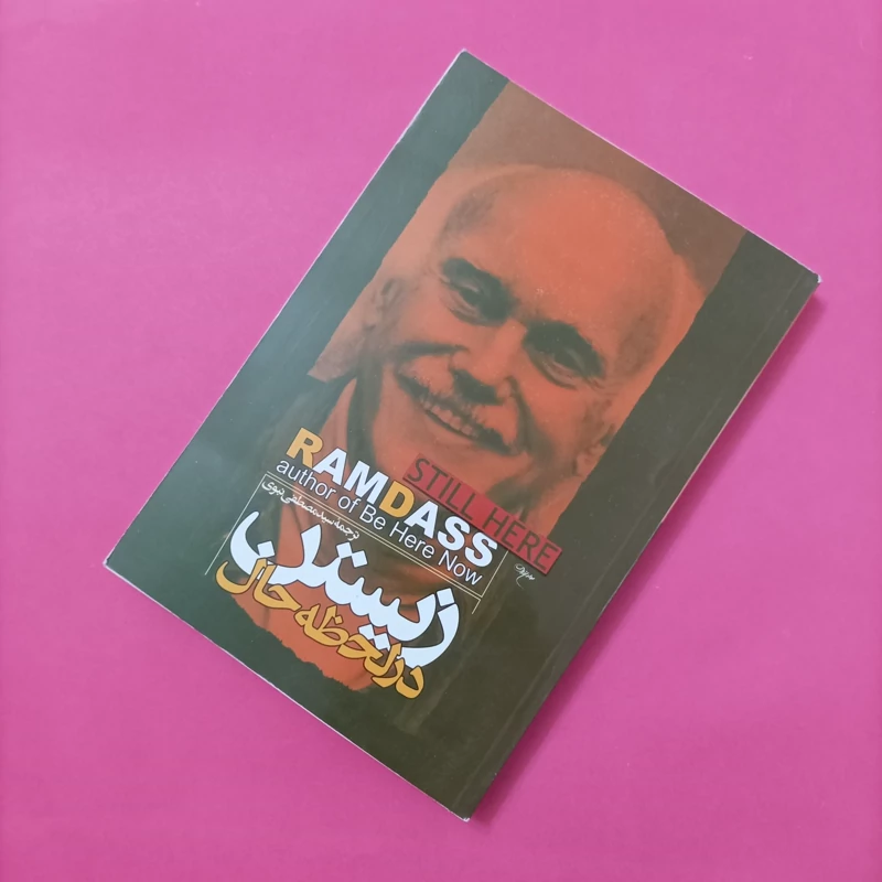کتاب زیستن در لحظه حال ترجمه سید مصطفی نبوی