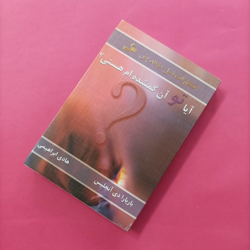 کتاب آیا تو گمشده ام هستی آنجلیس ابراهیمی