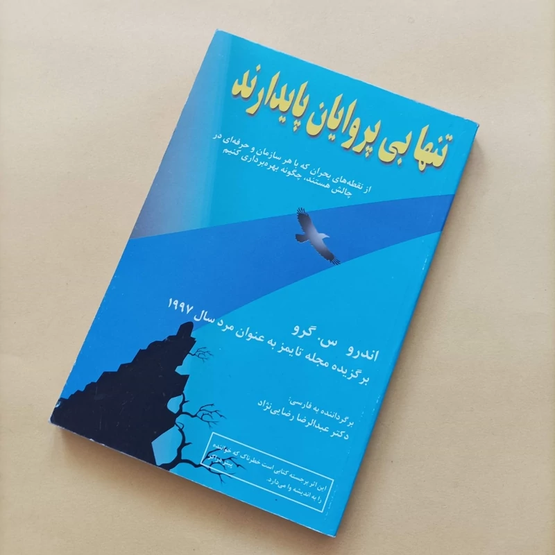 کتاب تنها بی پروایان پایدارند ترجمه عبدالرضا رضایی نژاد