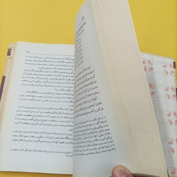 کتاب زندگانی امیرالمومنین علیه السلام نوشته سید هاشم رسولی محلاتی